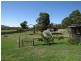 280 Native Rock Road, Railton TAS 7305