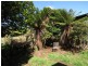 90 Williams Road, Wilmot TAS 7310
