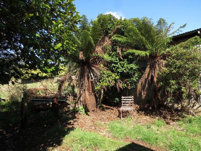 90 Williams Road, Wilmot TAS 7310