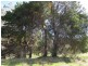 90 Williams Road, Wilmot TAS 7310