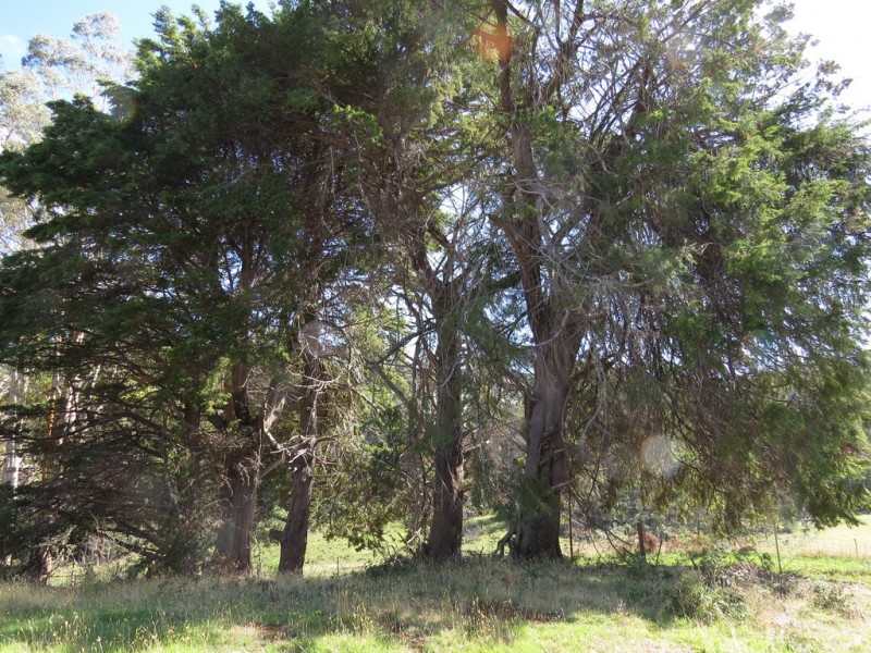 90 Williams Road, Wilmot TAS 7310