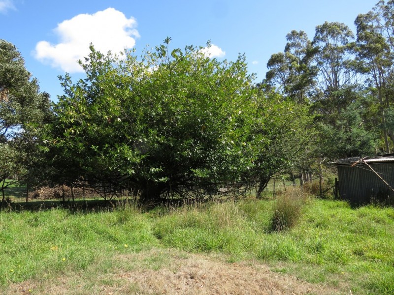 90 Williams Road, Wilmot TAS 7310