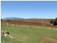 46 Chuggs Road, Forth TAS 7310