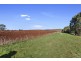 46 Chuggs Road, Forth TAS 7310