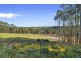 46 Chuggs Road, Forth TAS 7310