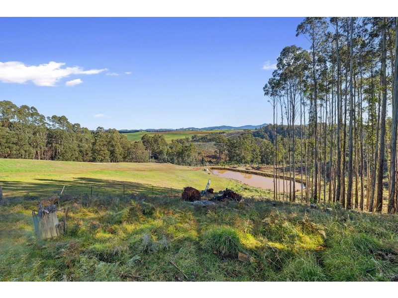 46 Chuggs Road, Forth TAS 7310