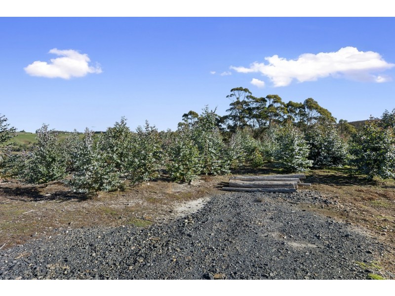 46 Chuggs Road, Forth TAS 7310