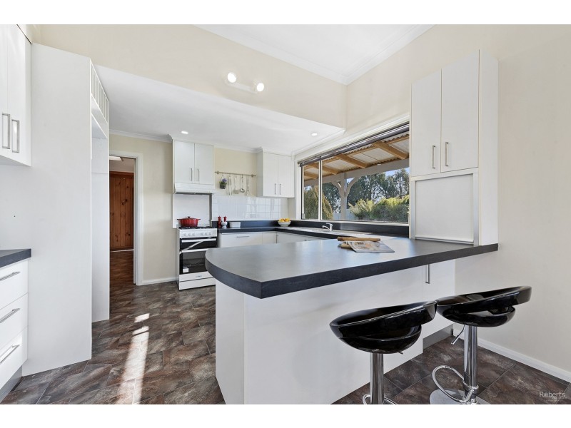 46 Chuggs Road, Forth TAS 7310