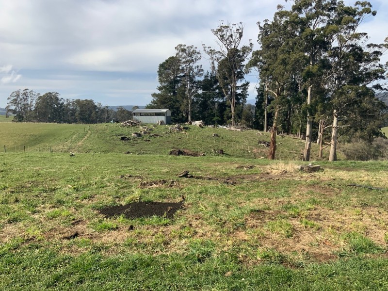 169 Careys Road, West Kentish TAS 7306