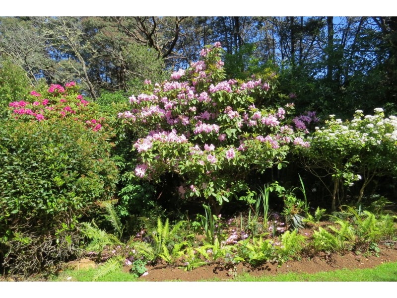 194 Wilks Road, Lorinna TAS 7306