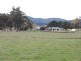 144 Old Paradise Road, Sheffield TAS 7306