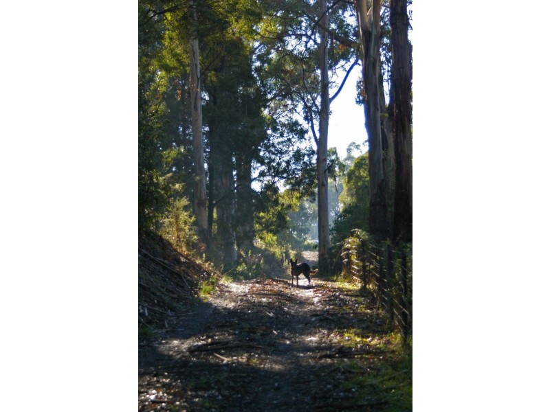 120 New Bed Road, Railton TAS 7305