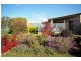 501 Sunnyside Road, Sunnyside TAS 7305