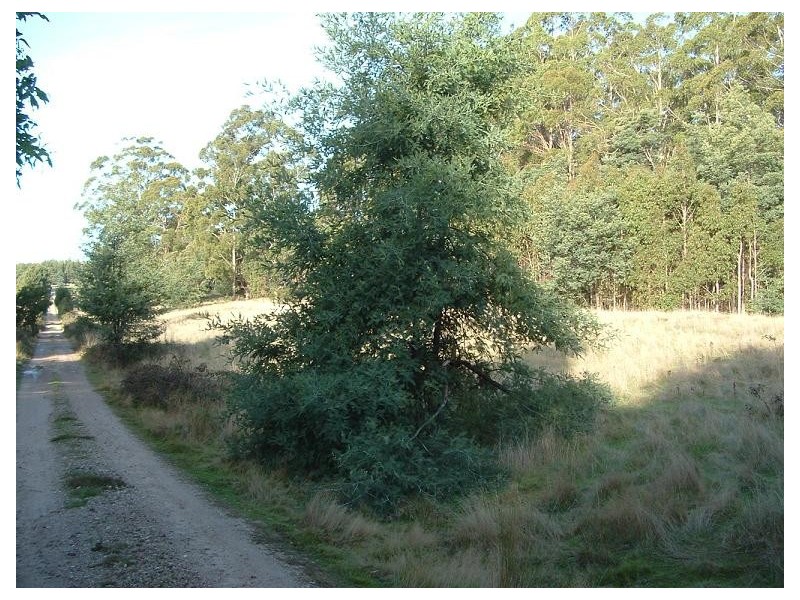 Lot 3 Dawkins Road, Lower Beulah TAS 7306