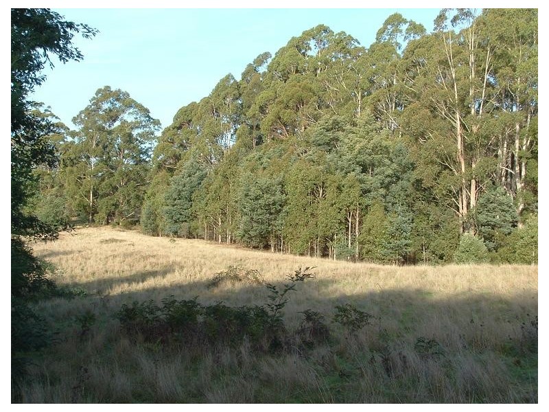 Lot 3 Dawkins Road, Lower Beulah TAS 7306