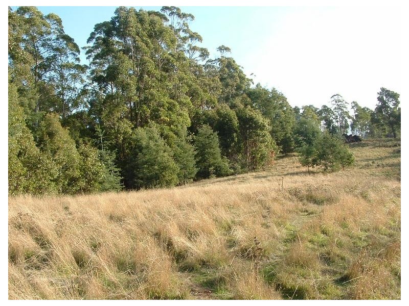Lot 3 Dawkins Road, Lower Beulah TAS 7306