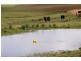 1134 Melrose Road, Lower Barrington TAS 7306