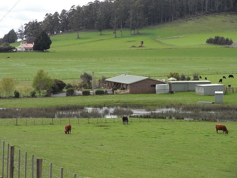 38 Rockliffs Road, Sheffield TAS 7306