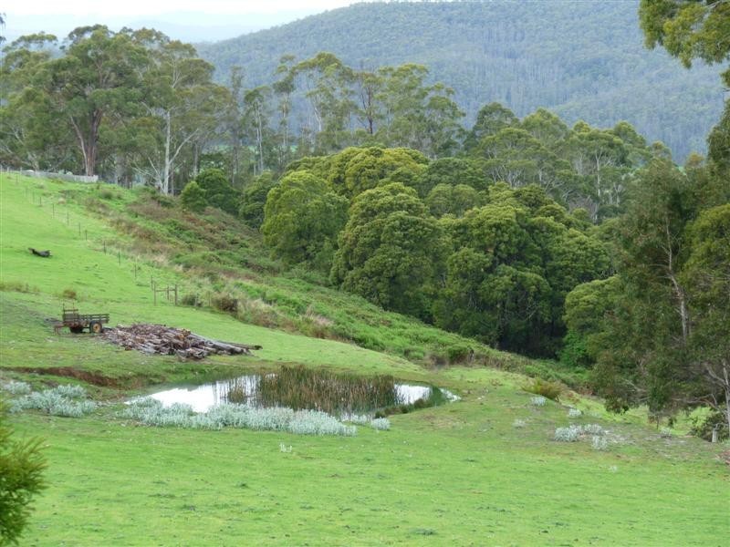 135 Maloneys Road, Railton TAS 7305