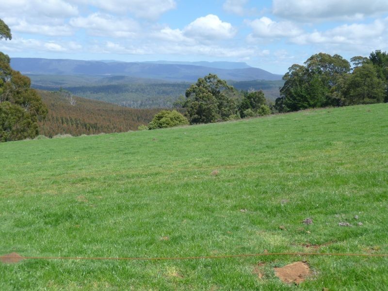 469 Stoodley Road, Stoodley TAS 7306