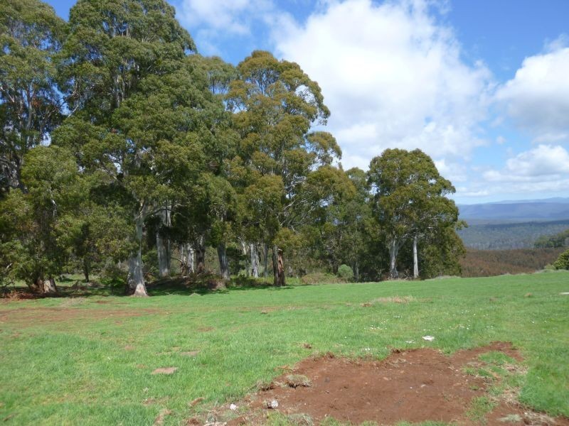 469 Stoodley Road, Stoodley TAS 7306