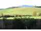 2877 Wilmot Road, Wilmot TAS 7310