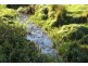 2877 Wilmot Road, Wilmot TAS 7310