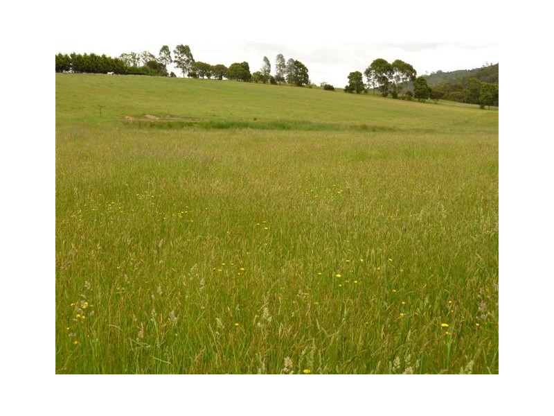 0 Weegena, Kimberley TAS 7304