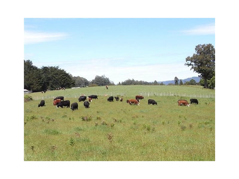 750 Staverton Road, Staverton TAS 7306