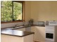 119 Masons Road, Wilmot TAS 7310