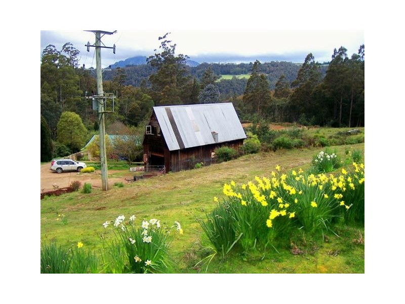 119 Masons Road, Wilmot TAS 7310