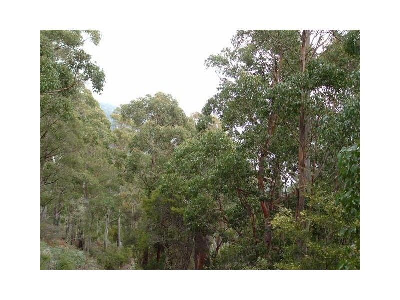 Lot 1 Foleys Road, Sheffield TAS 7306