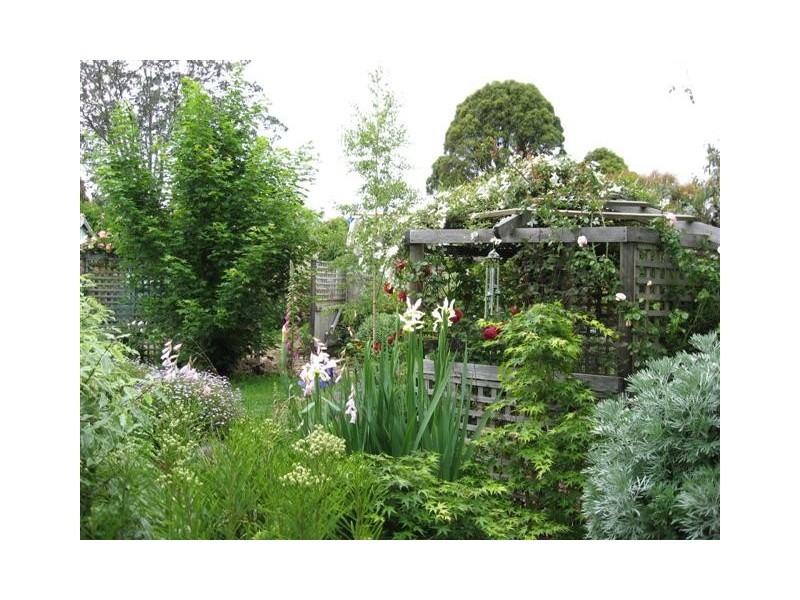56  Barrington Road, Barrington TAS 7306