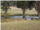 366 Melrose Road, Eugenana TAS 7310