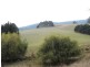 366 Melrose Road, Eugenana TAS 7310