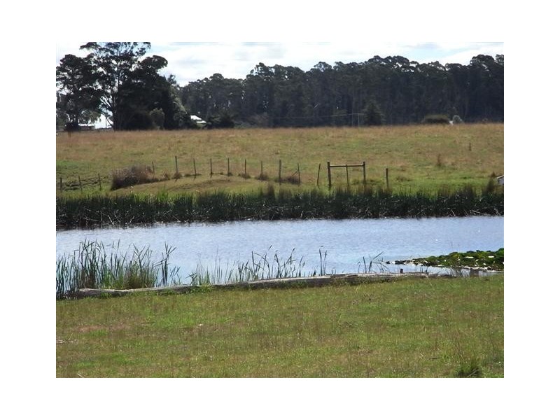80 Rockliffs Road, Sheffield TAS 7306