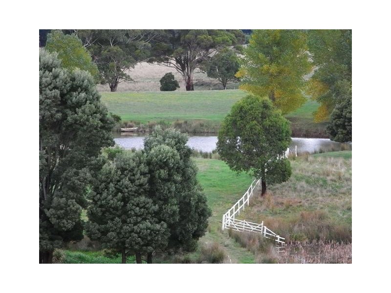 309 Bellamy Road, Melrose TAS 7310
