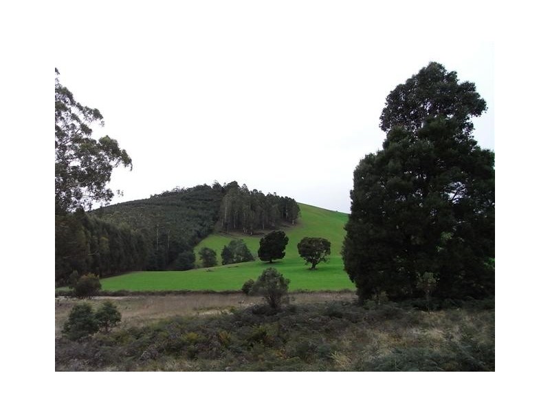 5 Dawkins Road, Beulah TAS 7306