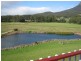 378 Careys Road, Sheffield TAS 7306