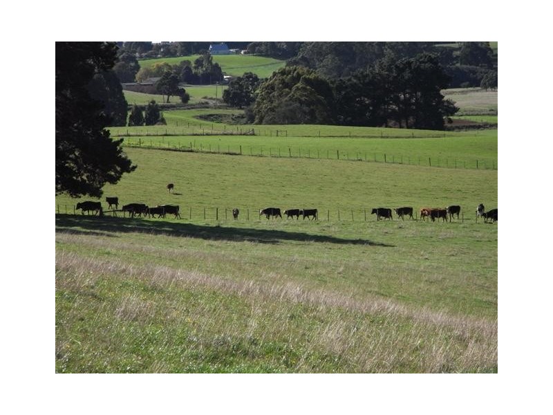 1461  Castra Road, Sprent TAS 7315