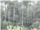 132 Bramich Road, Acacia Hills TAS 7306
