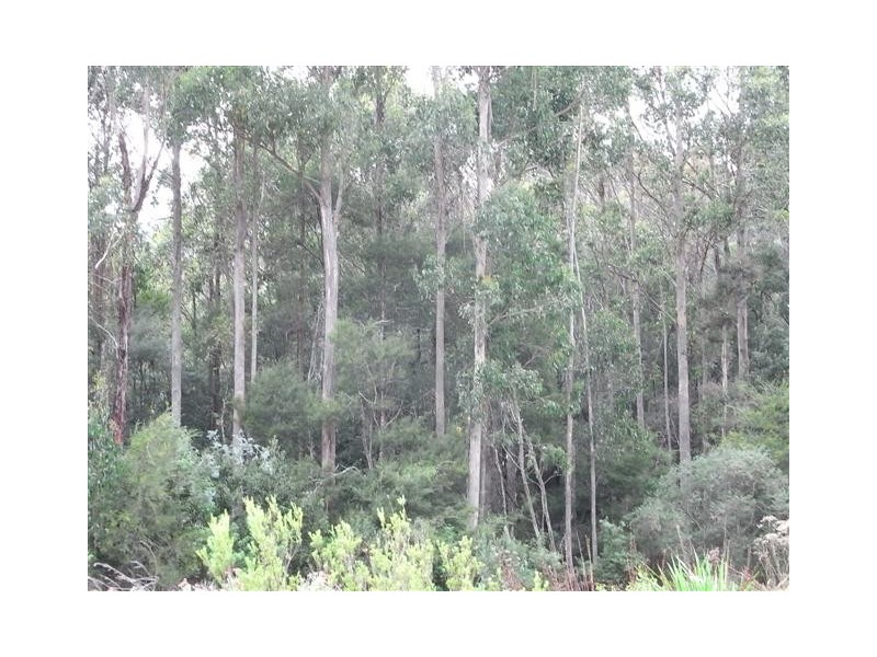 132 Bramich Road, Acacia Hills TAS 7306