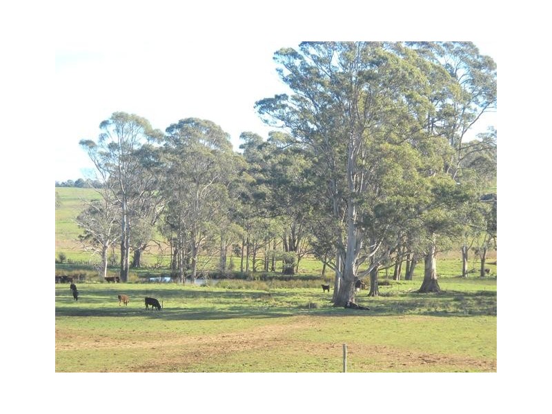 560 Nowhere Else Road, Sheffield TAS 7306