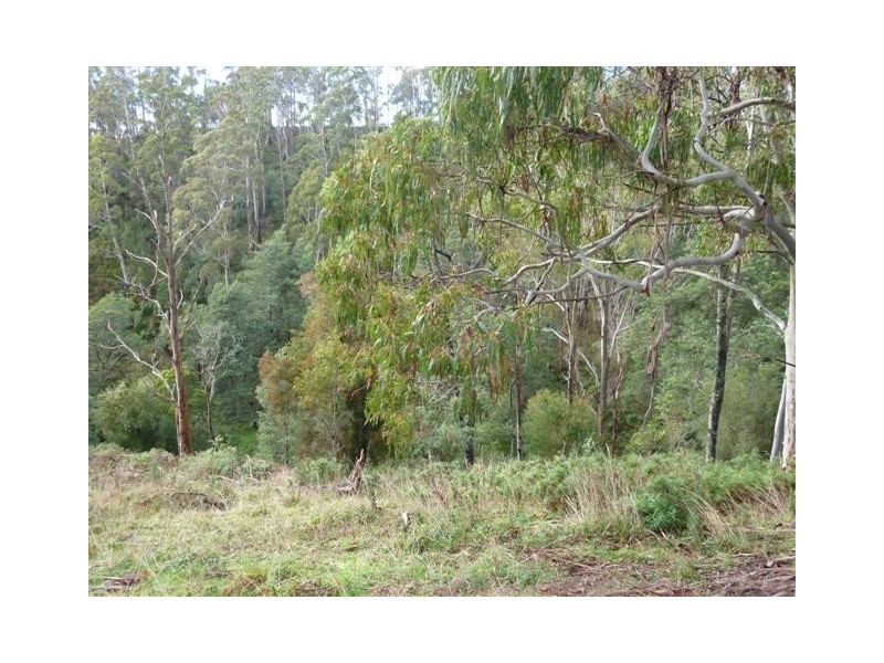 303 Paradise Road, Paradise TAS 7306