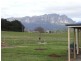 560 Nowhere Else Road, Sheffield TAS 7306