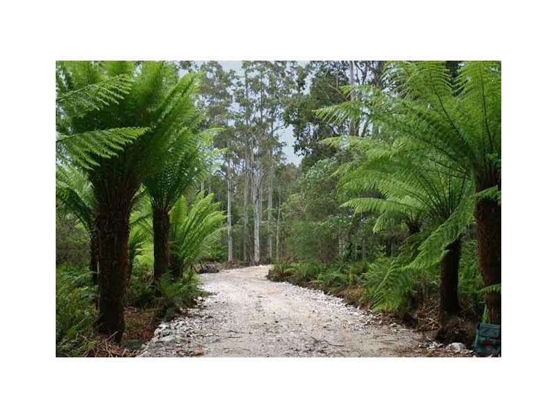 18 Lake Gardiner Road, Moina TAS 7310