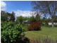 51 Morrison Street, Railton TAS 7305