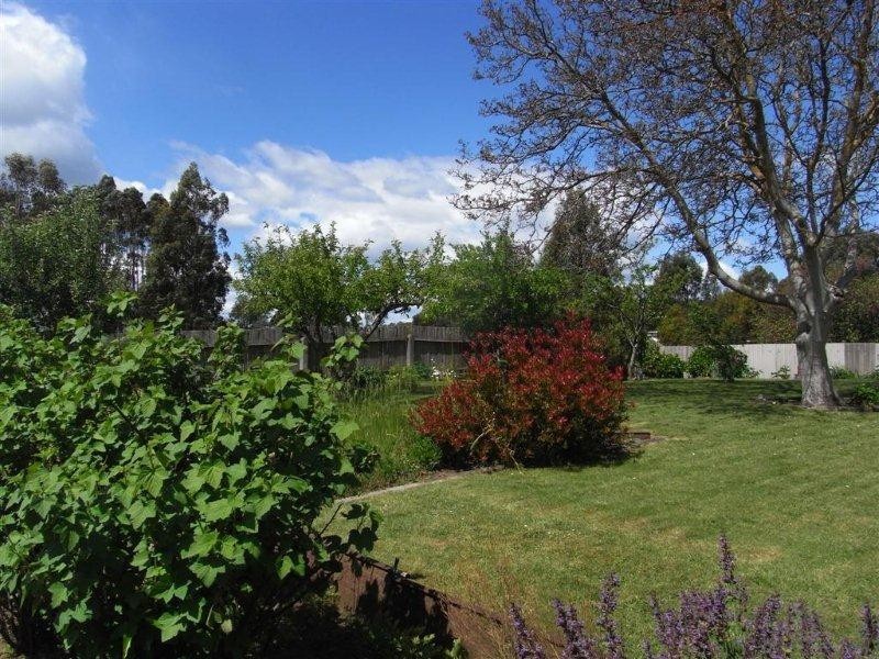 51 Morrison Street, Railton TAS 7305