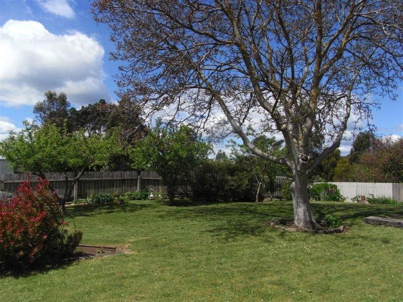 51 Morrison Street, Railton TAS 7305