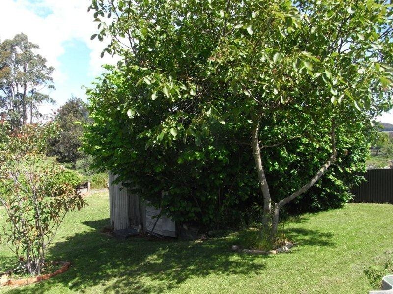 51 Morrison Street, Railton TAS 7305